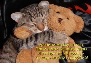 Фотография с сайта http://www.liveinternet.ru/users/4284365/post297423872/